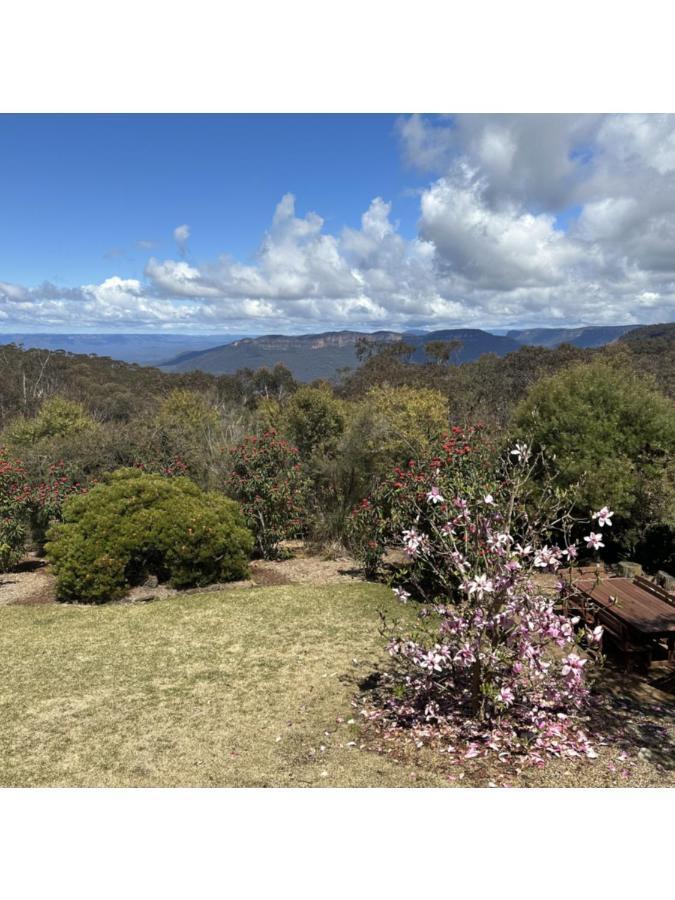 Valley Of The Waters B&B Wentworth Falls Exterior photo