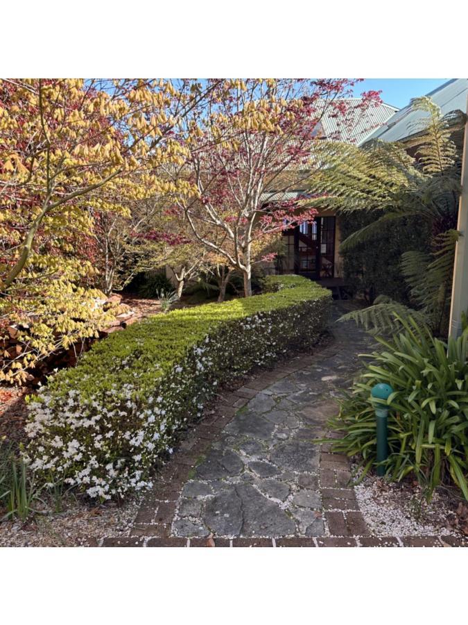 Valley Of The Waters B&B Wentworth Falls Exterior photo