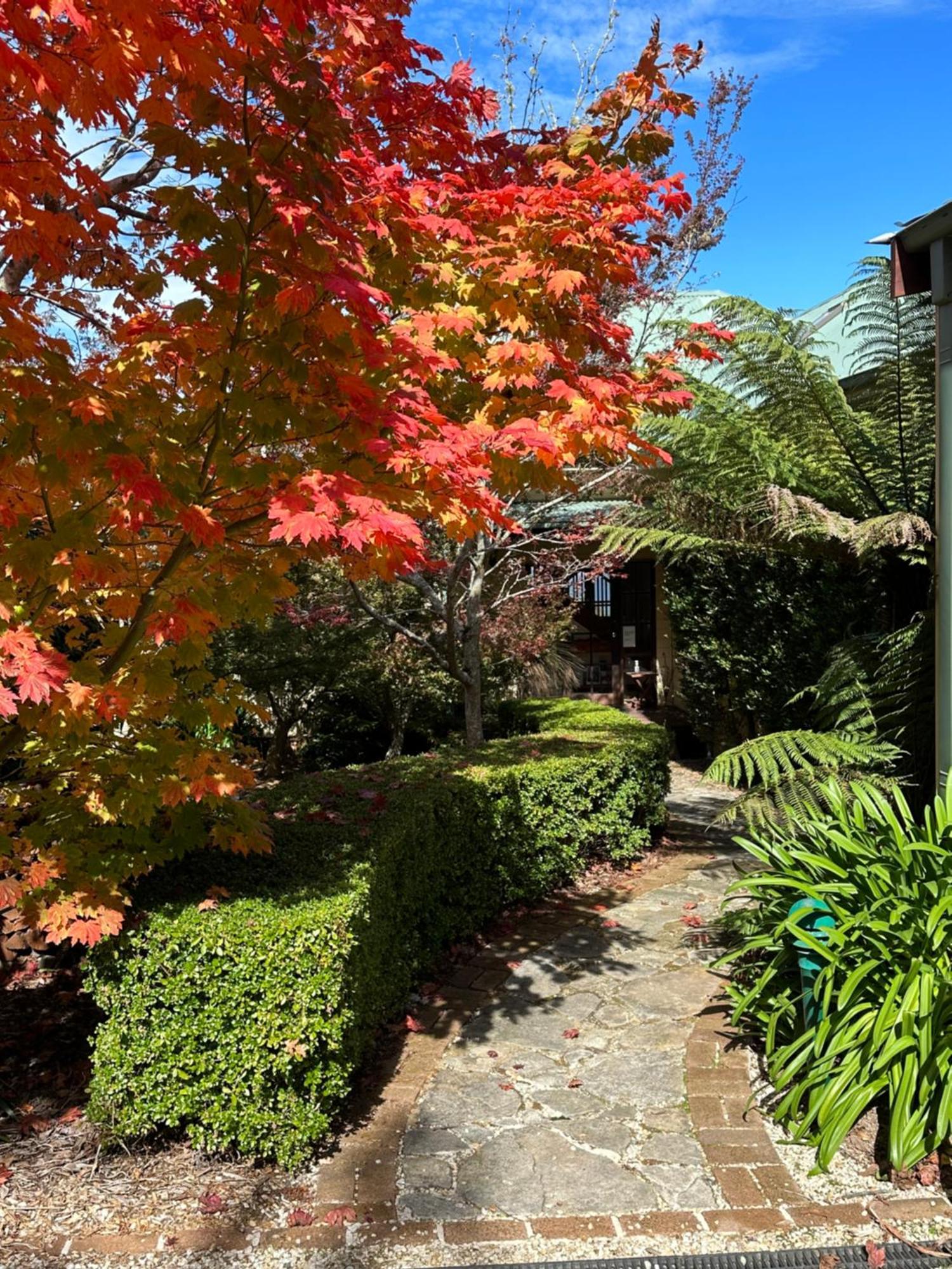 Valley Of The Waters B&B Wentworth Falls Exterior photo