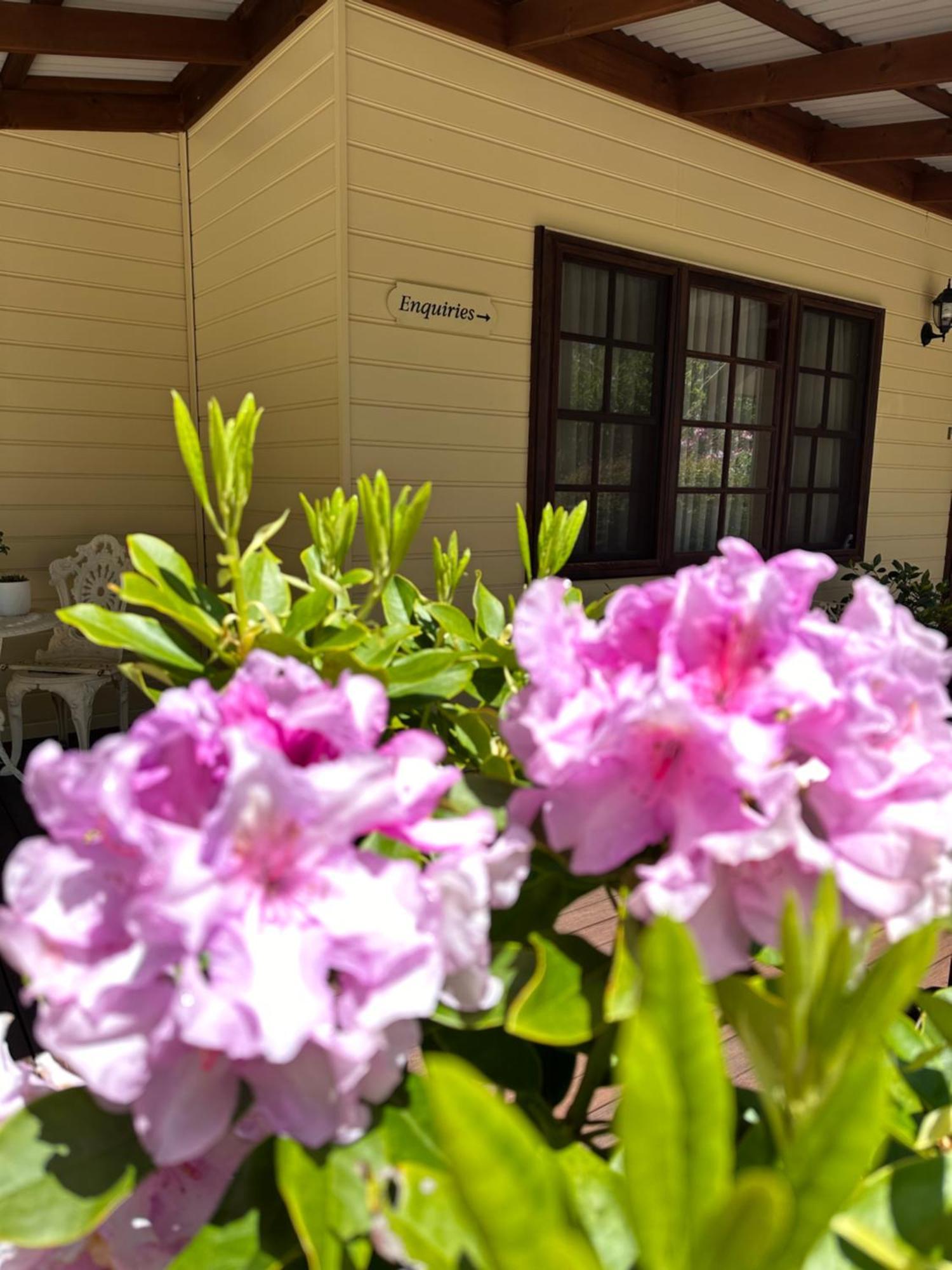 Valley Of The Waters B&B Wentworth Falls Exterior photo