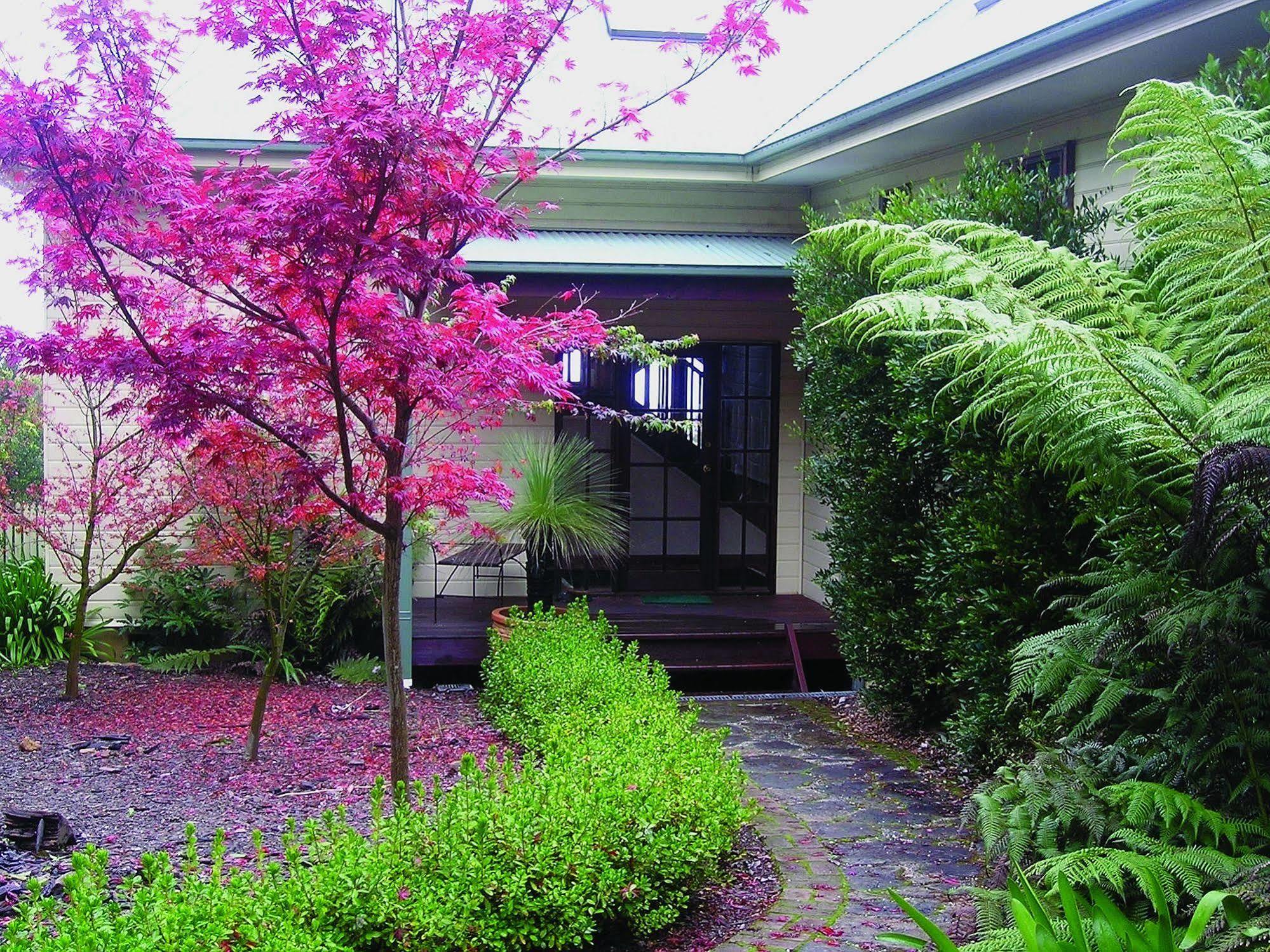 Valley Of The Waters B&B Wentworth Falls Exterior photo