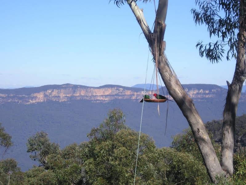 Valley Of The Waters B&B Wentworth Falls Exterior photo